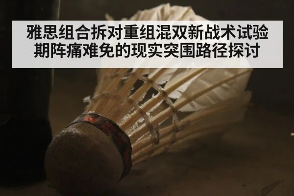 雅思组合拆对重组混双新战术试验期阵痛难免的现实突围路径探讨